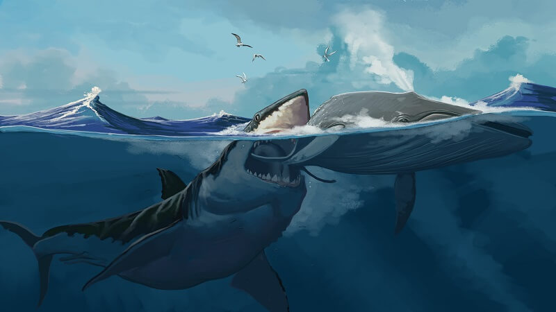 cá mập Megalodon