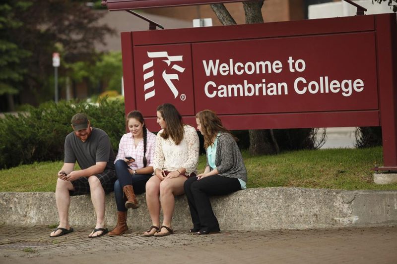 Cao đẳng Cambrian