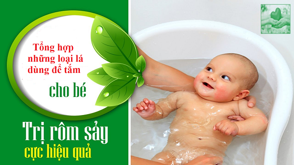Tổng hợp các loại lá dùng để tắm cho trẻ, trị bệnh ngoài da