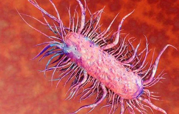 Bệnh vi khuẩn ăn thịt người là gì? Nó nguy hiểm như thế nào?