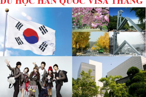 Có nên đi du học Hàn Quốc visa thẳng?