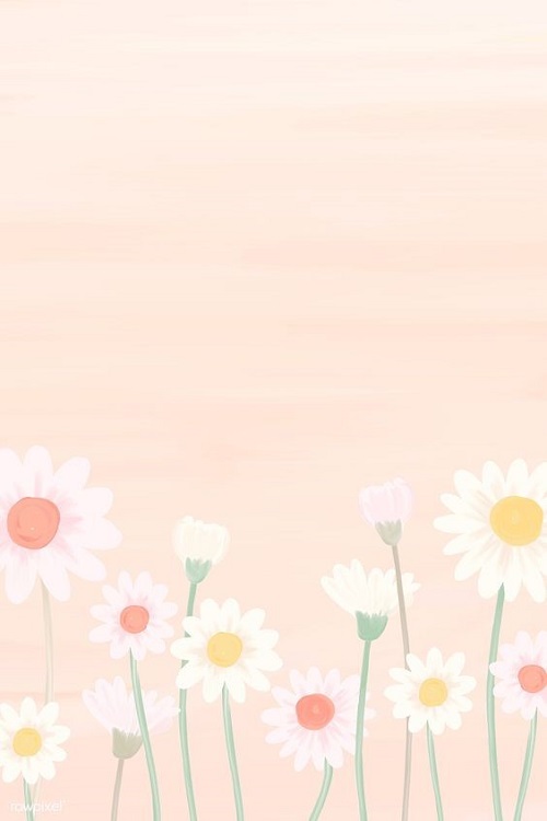 Ảnh giản dị mà đẹp  Simple wallpapers Cute simple wallpapers Iphone  wallpaper vintage