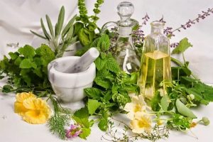Mỹ phẩm thuần chay tại Việt Nam