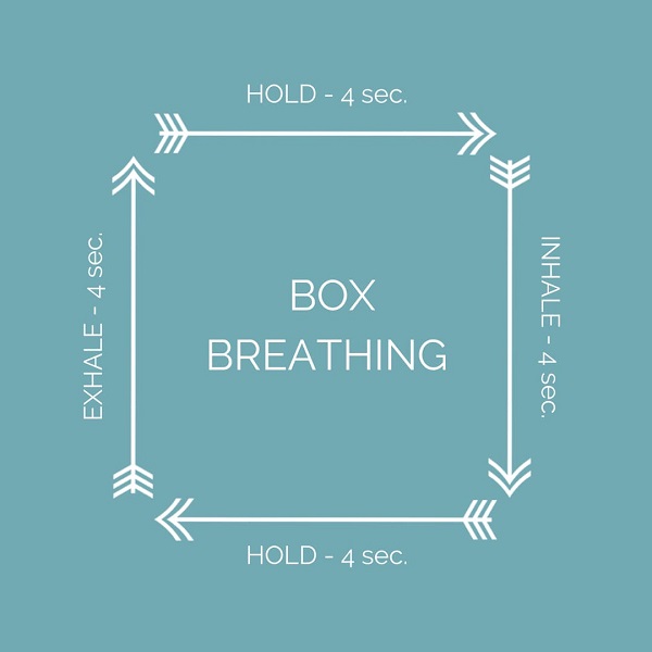 Tập thở box breathing: Bí quyết giữ da và tâm trí trẻ lâu của người Nhật