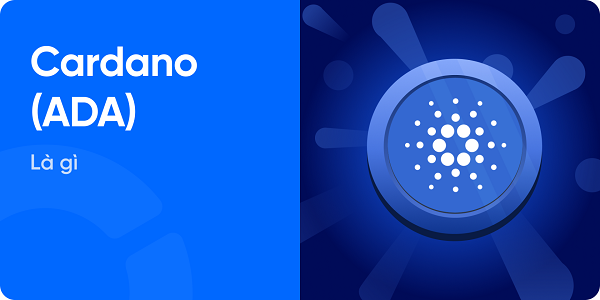 đồng coin tiềm năng ngoài Bitcoin & ETH