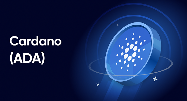 những đồng coin có blockchain riêng