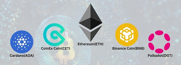 những đồng coin có blockchain riêng