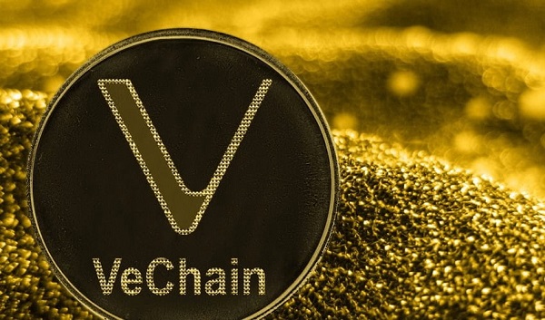 những đồng coin có hệ sinh thái tốt nhất