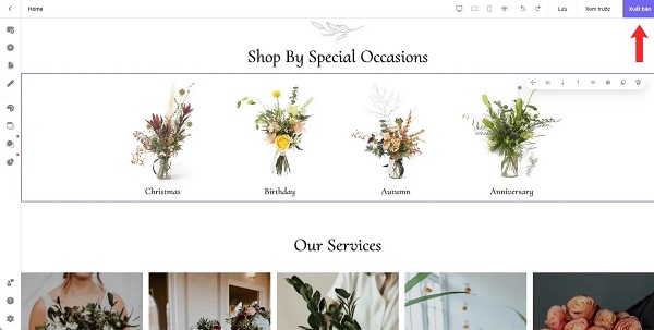 thiết kế website chuyên nghiệp